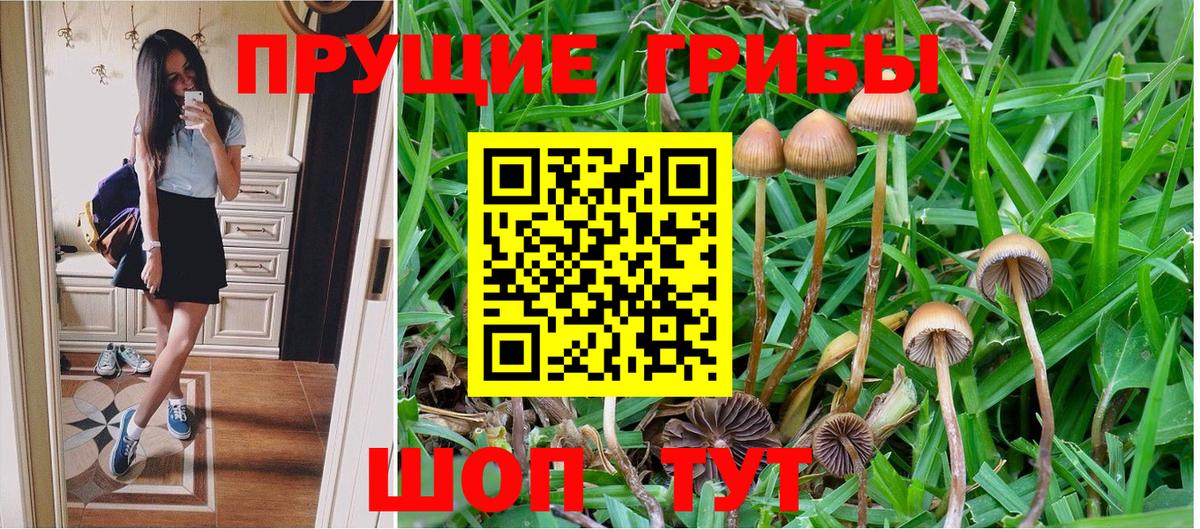 Псилоцибиновые грибы MAGIC MUSHROOMS  Галлюциногенные грибы Cubensis  Серпухов  Вход с VPN 